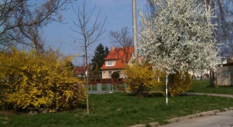 Villa Paris - Photo2