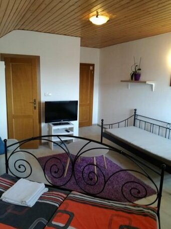 Vila Stefan Drevko - Photo2
