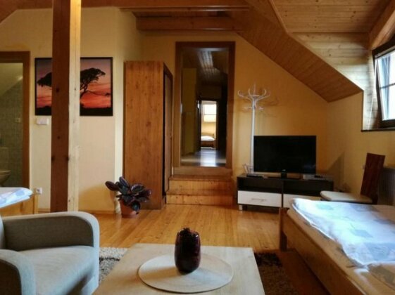 Vila Stefan Drevko - Photo4