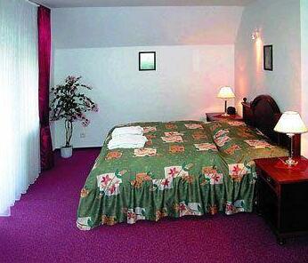 Hotel Aphrodite Rajecke Teplice - Photo2