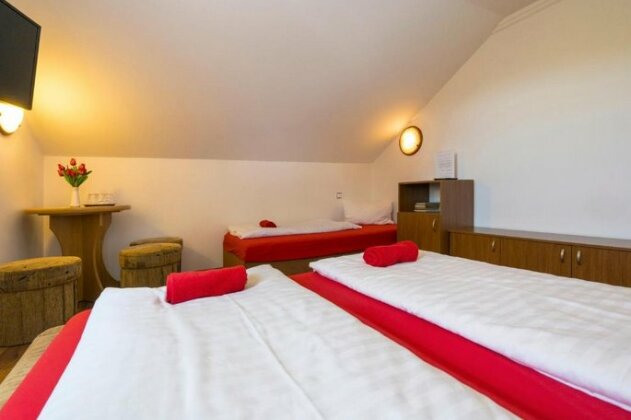 Villa Amelia Rajecke Teplice - Photo4