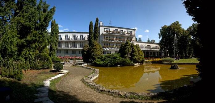 Kupelny Hotel Palace - Photo3