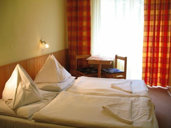 Hotel Cingov - Photo2