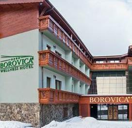 Wellness Hotel Borovica