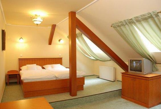 Hotel Most Slavy - Photo5