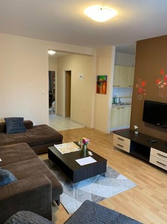 Apartment Na Hlinach 2 - Photo5
