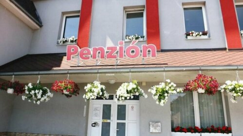 Guest House Penzion Fortuna