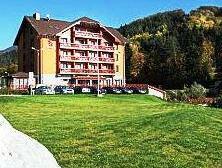 Hotel Impozant Valca - Photo3