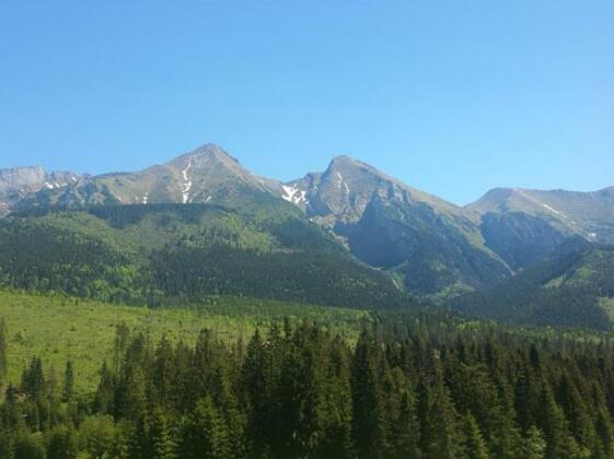 Nightsight Lodge - Photo5