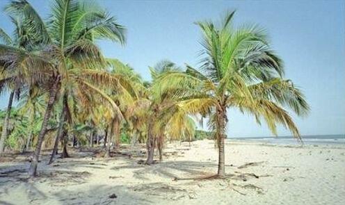 Hotel Le Mirage Cap Skirring - Photo4