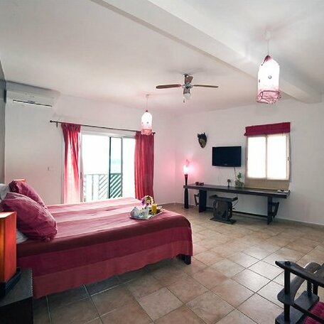 La Maison Abaka - Photo5