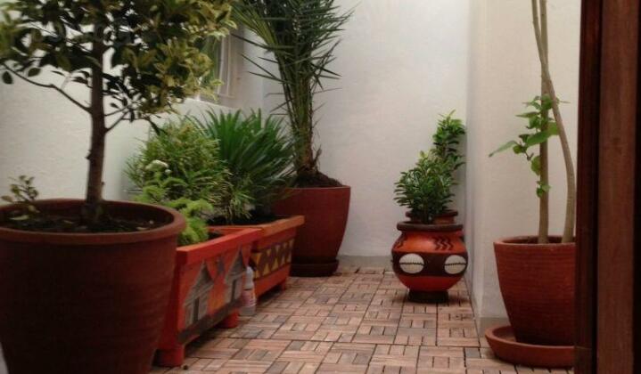 Senegalia - Photo3