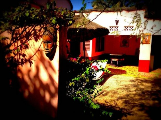Baobab Belge - Photo3