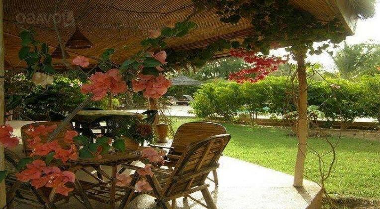 Gite l'Anacardier - Photo5