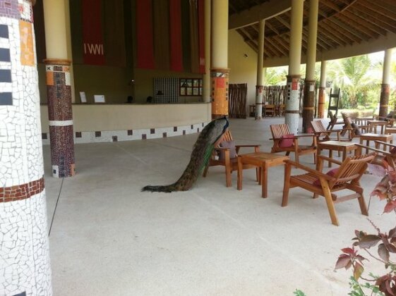 Royal Saly - Photo3