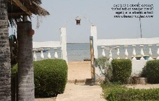 Iles du Saloum Camp Indiana - Photo2
