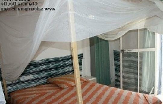 Iles du Saloum Camp Indiana - Photo3
