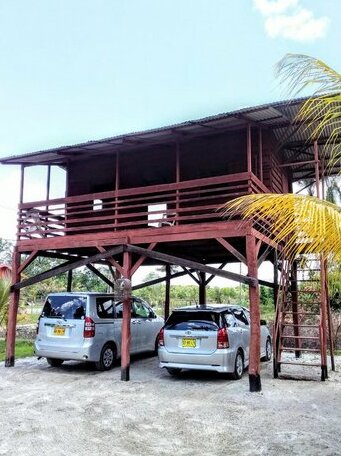 Toucan Paramaribo - Photo2
