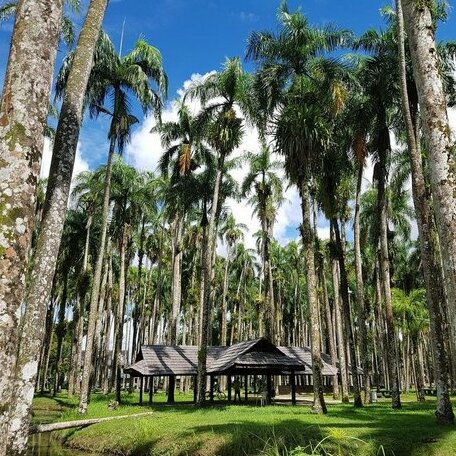 Zin Resort - Photo3