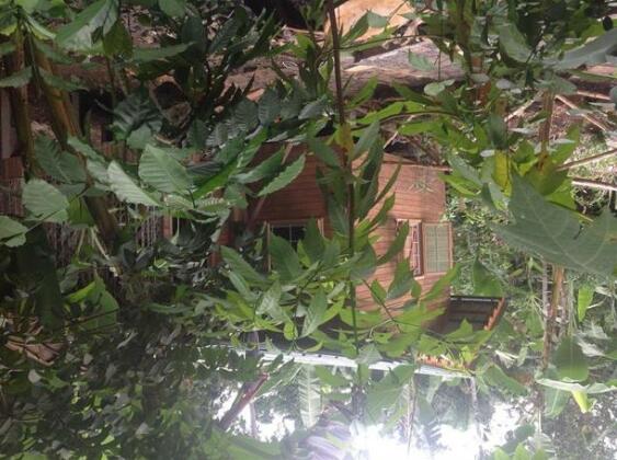 Casa Ediana - Photo3