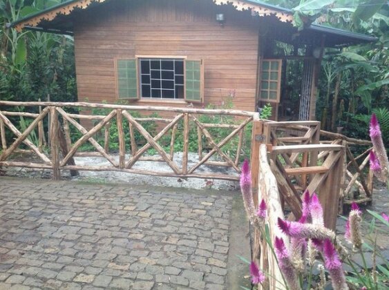Casa Ediana - Photo4