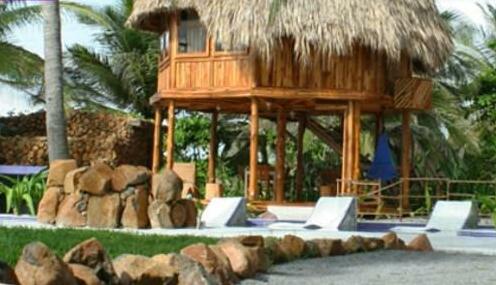 Hotel Tortuga Village - Photo3