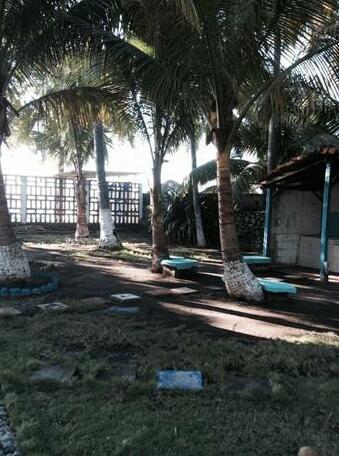 Surf Strong - Photo4