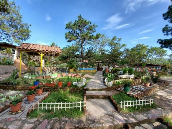Hotel y Restaurante Las Margaritas - Photo5