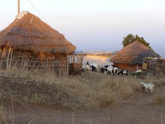 Swazi Village Homestay - Photo2