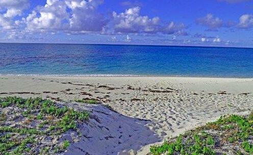 Castaway Salt Cay - Photo2
