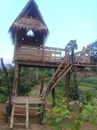 Noom Homestay - Photo2