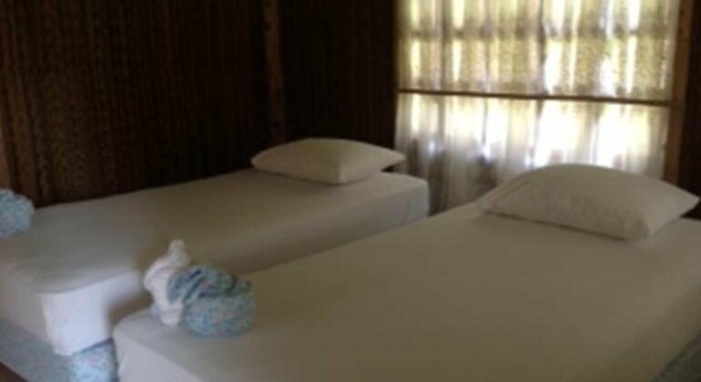 Phangan River Sand Resort - Photo5