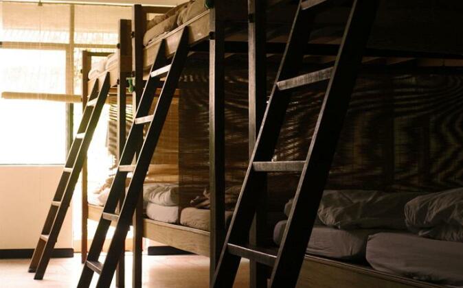 Born Free Hostel - Photo2