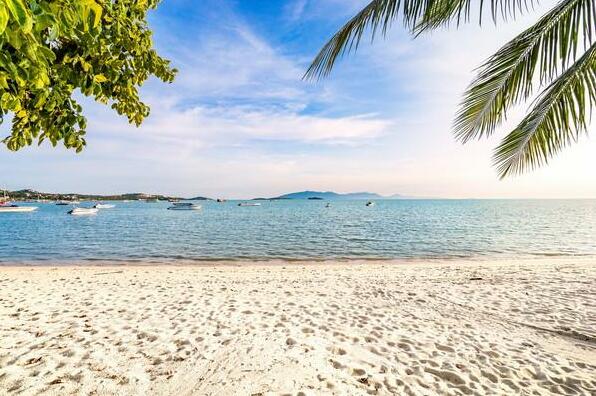Absolute Beachfront - Prime Location - Photo5