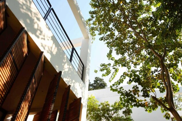 The Library - Photo5