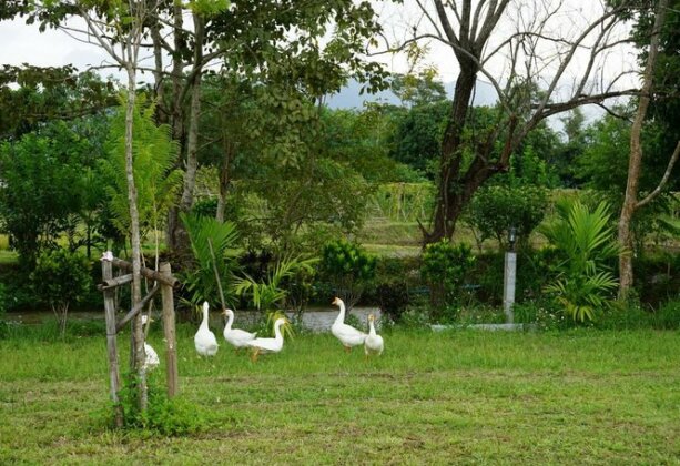 Ban Suan Tawan Chiang Dao - Photo4