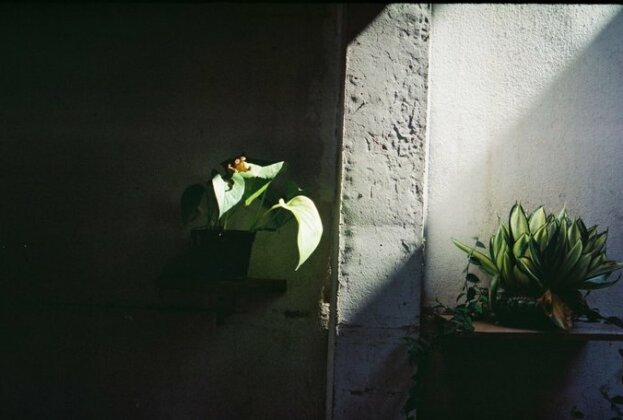 Mali Gallery - Photo2