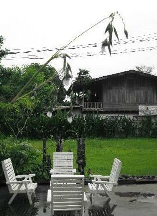 Baan Rub Aroon Guesthouse - Photo5