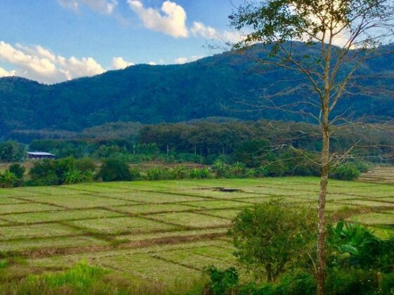 Baansuan Nanglae Hill Homestay - Photo4