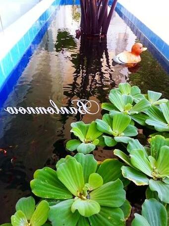 Banlomnow - Photo5