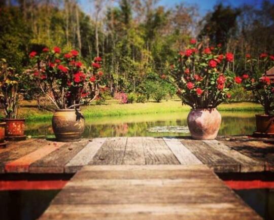 Noks Garden Resort - Photo3