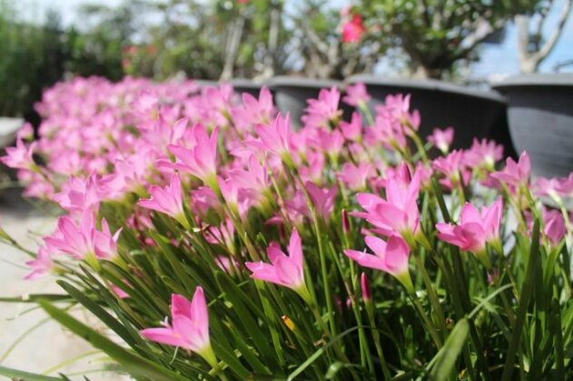 Ploy Homestay - Photo3
