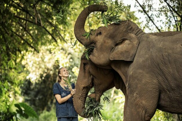 Anantara Golden Triangle Elephant Camp & Resort - Photo2
