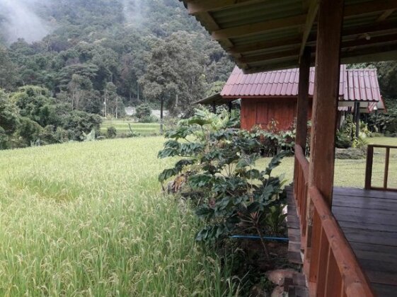 Inthanon Homestay - Photo3