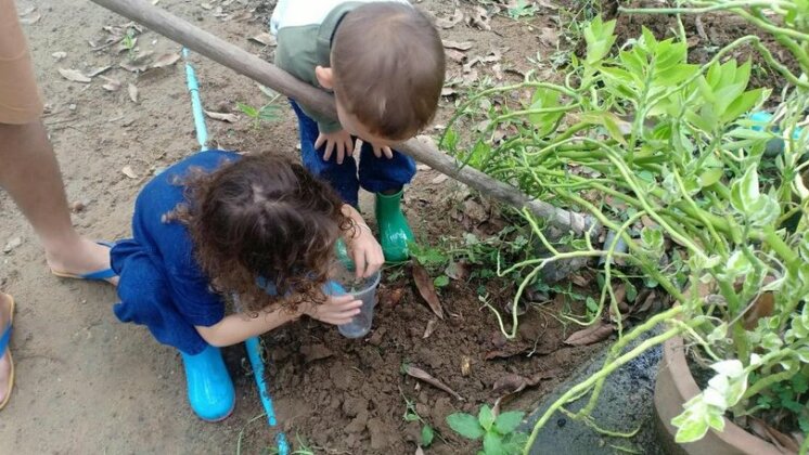 Karenorganicfarm - Photo2