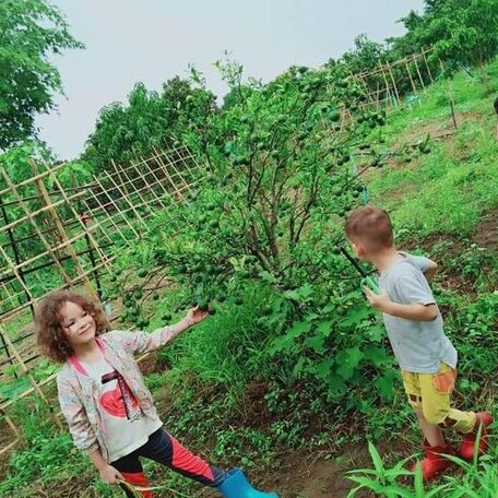 Karenorganicfarm - Photo3