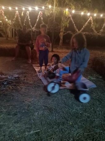 Karenorganicfarm - Photo5