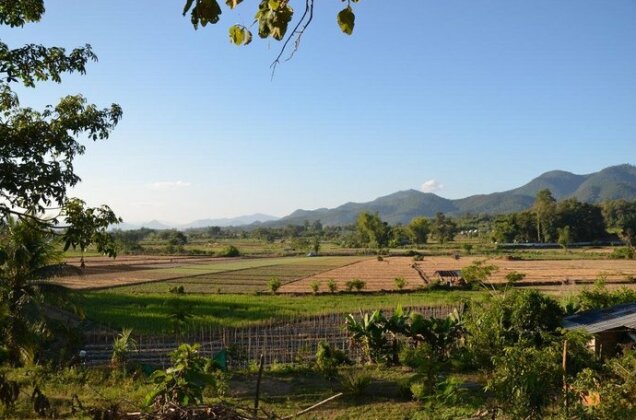 Noi's Secret Garden - Photo5