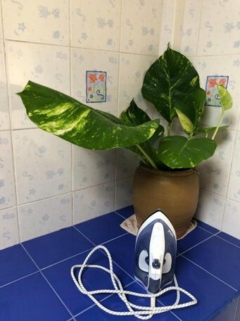 Pani House - Photo3