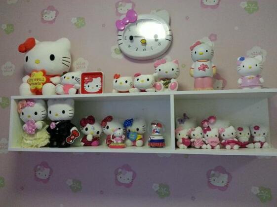 The Trust Hua Hin kitty room - Photo3